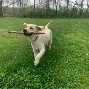 Meet your Posher, Giselle